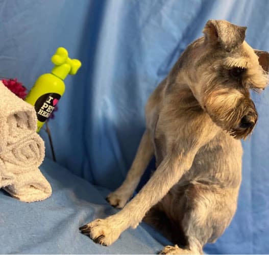 Business listing image