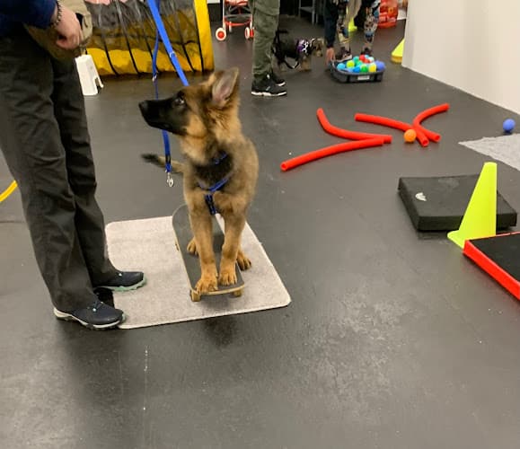 Business listing image