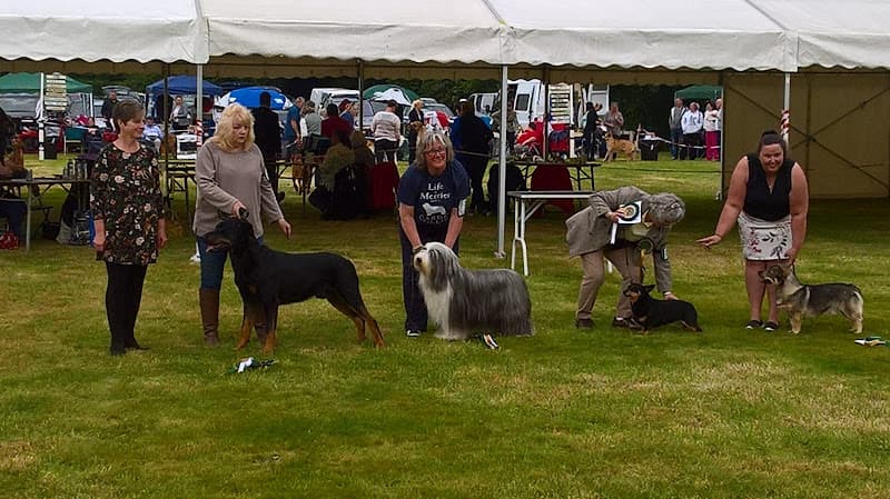 Business listing image