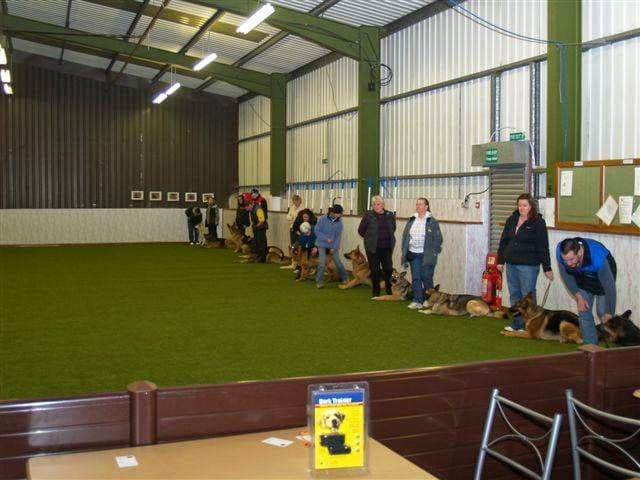 Business listing image