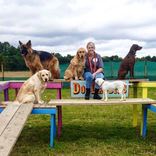 Business listing image