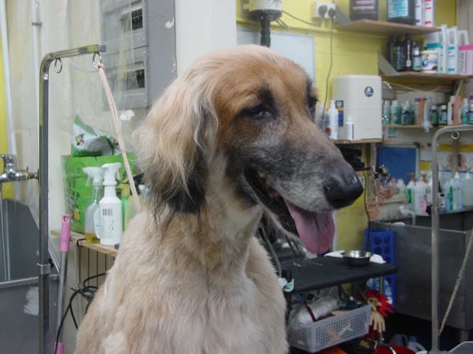 Business listing image