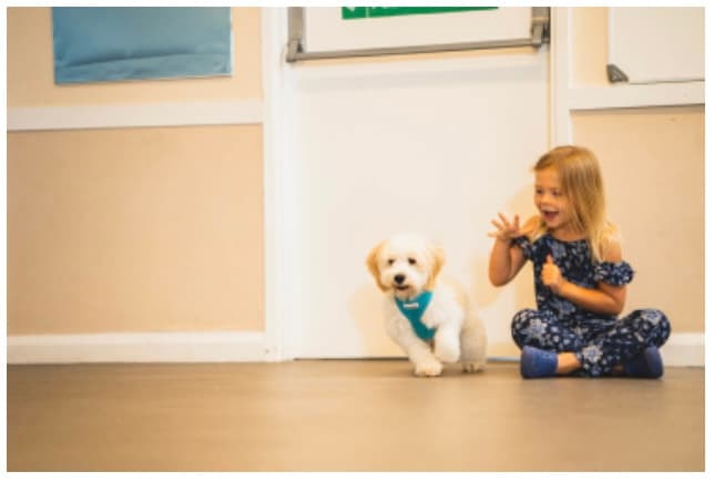 Business listing image