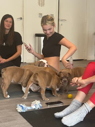 Business listing image