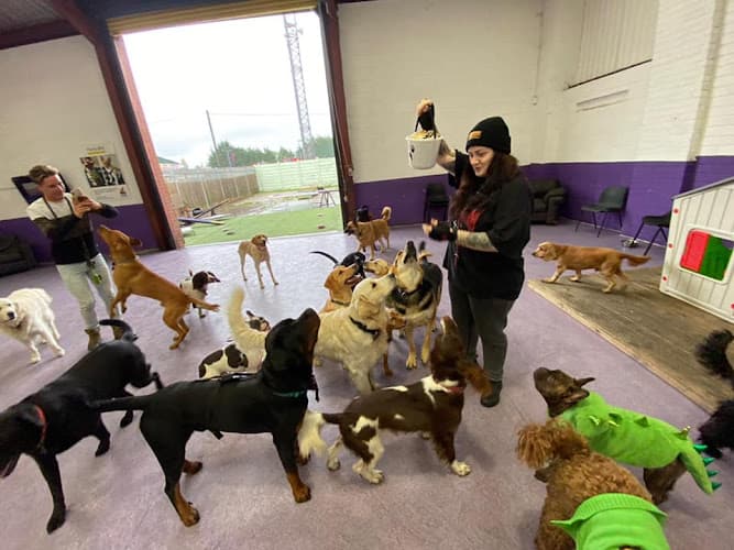 Business listing image