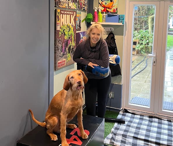 Business listing image