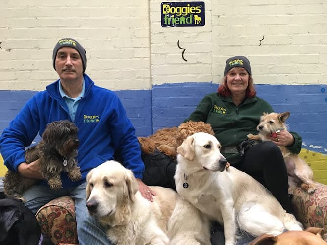 Business listing image