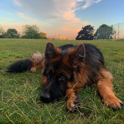 Business listing image