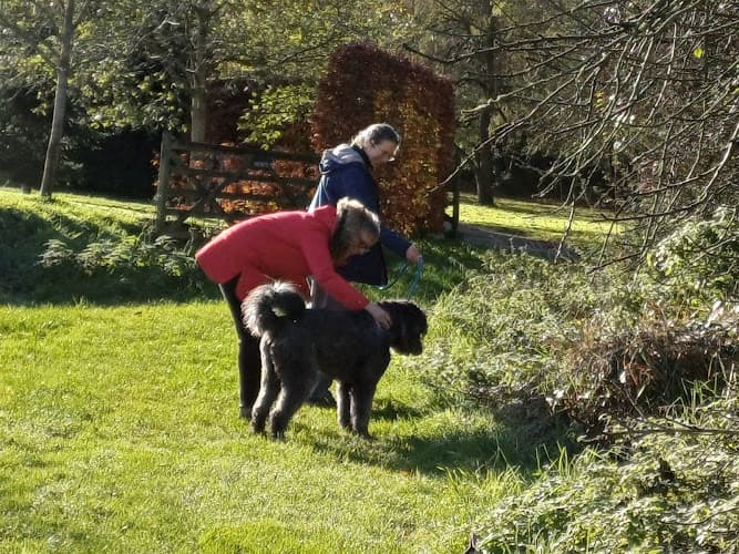 Business listing image