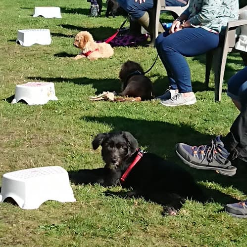 Business listing image