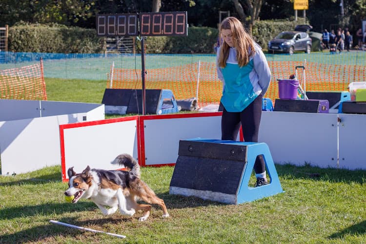 Business listing image