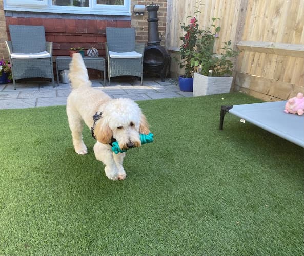 Business listing image