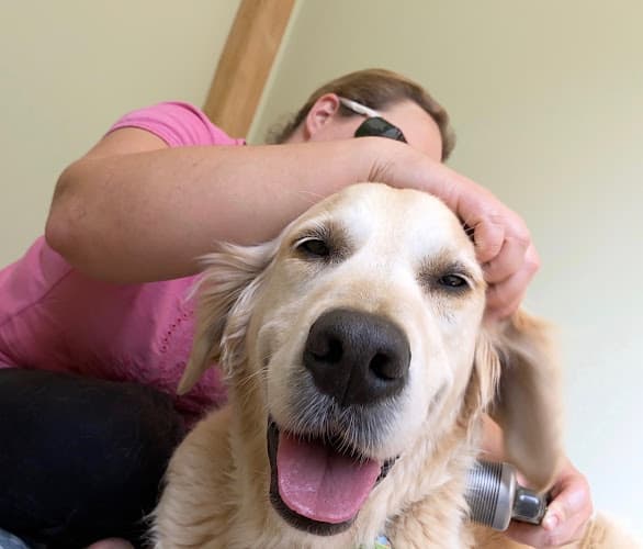 Business listing image