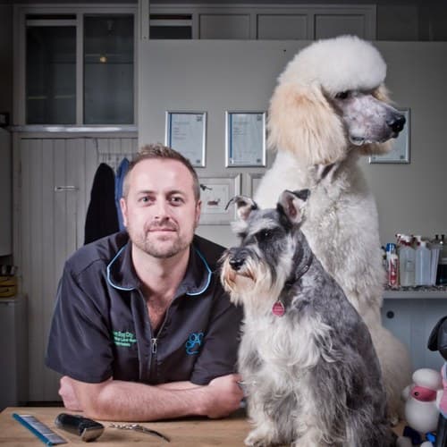 Business listing image