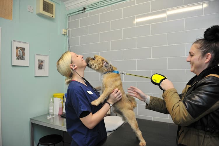 Business listing image