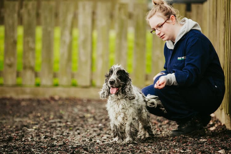 Business listing image