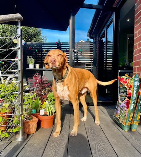 Business listing image