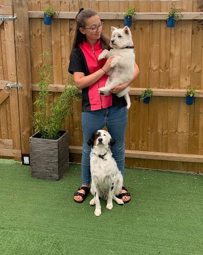 Business listing image