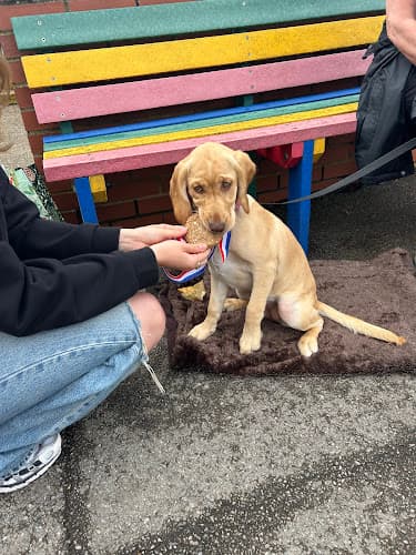 Business listing image