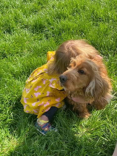 Business listing image