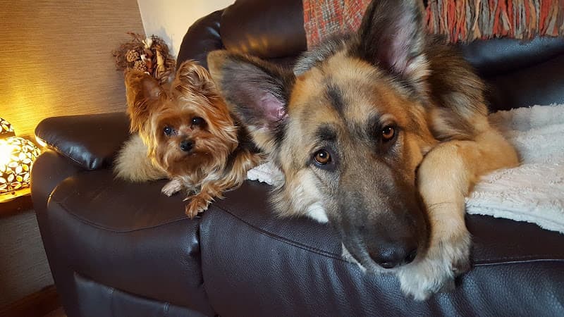 Business listing image