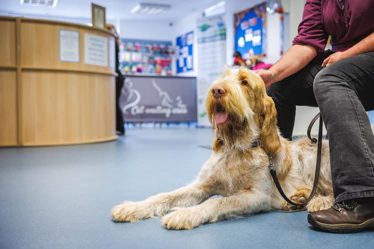 Business listing image