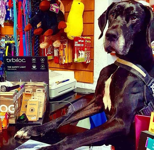 Business listing image