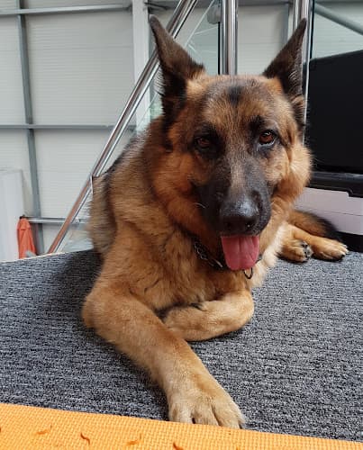 Business listing image