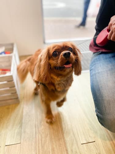 Business listing image