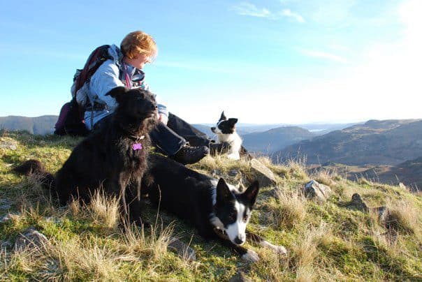 Business listing image