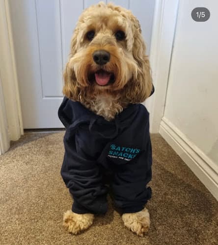 Business listing image