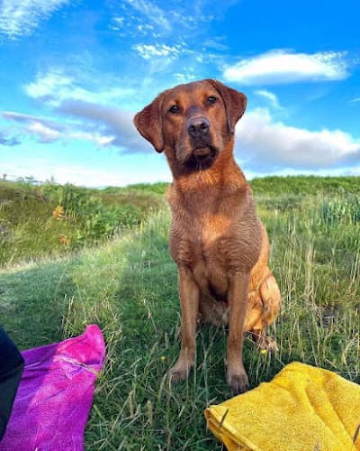 Business listing image