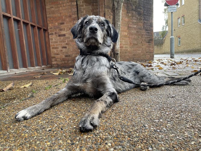 Business listing image