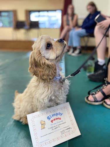 Business listing image