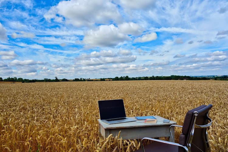 Business listing image