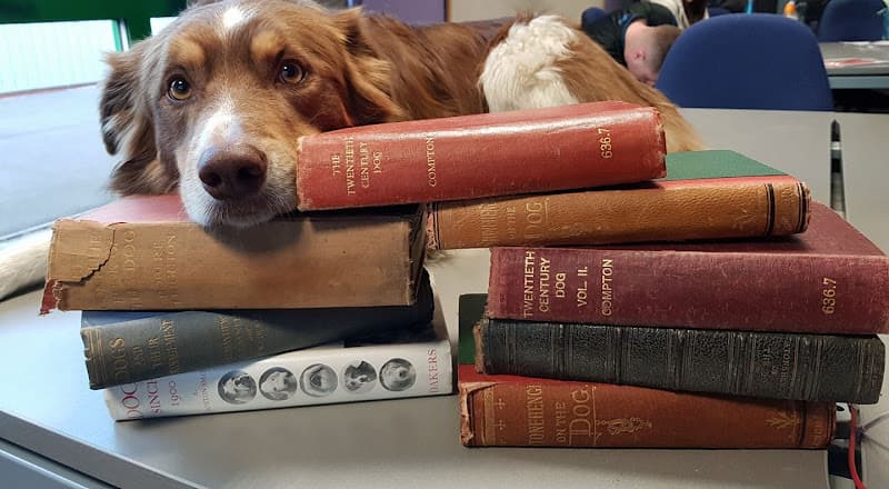 Business listing image