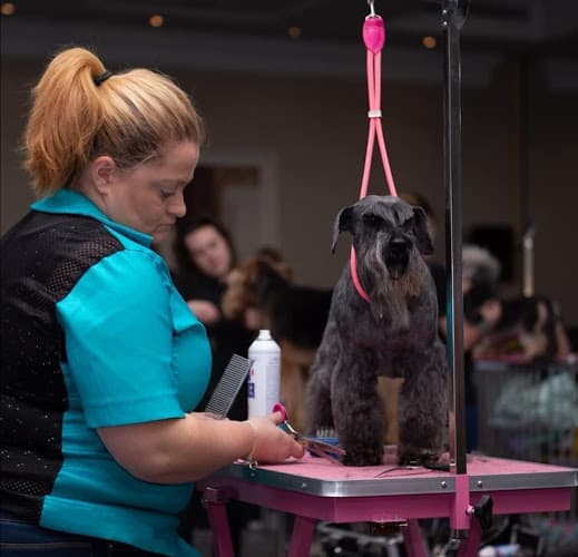 Business listing image