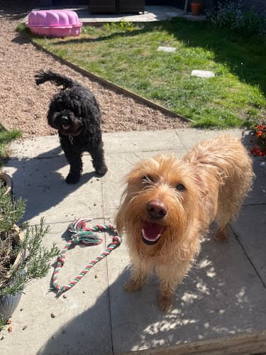 Business listing image