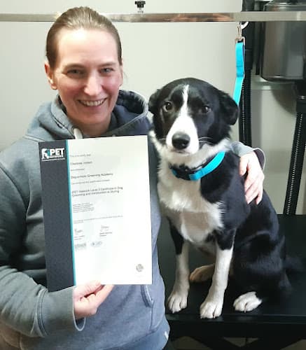 Business listing image