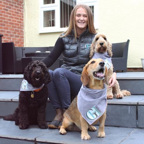 Business listing image