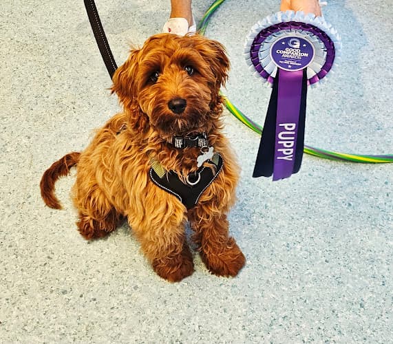 Business listing image