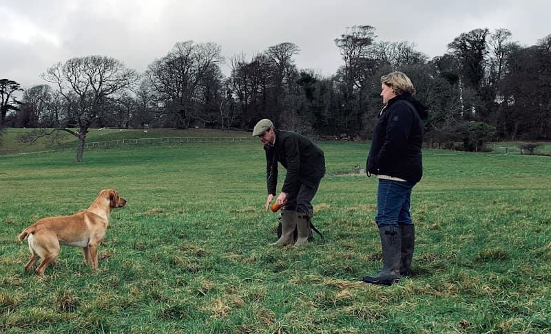 Business listing image