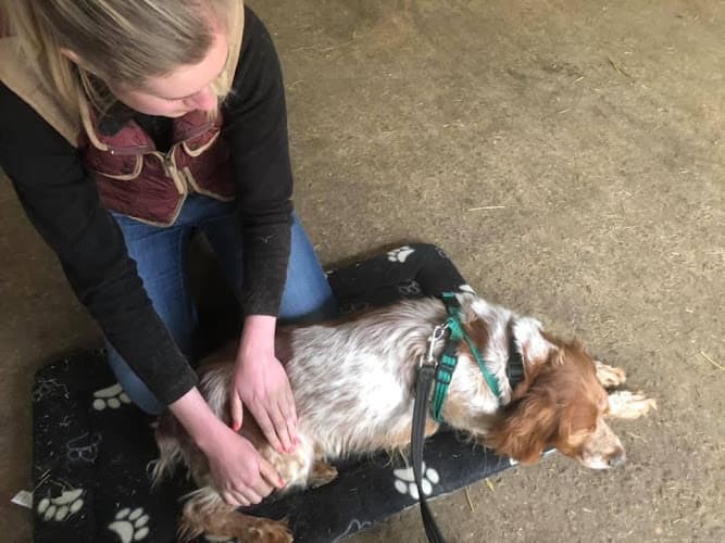 Business listing image