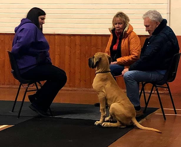 Business listing image