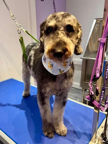 Business listing image