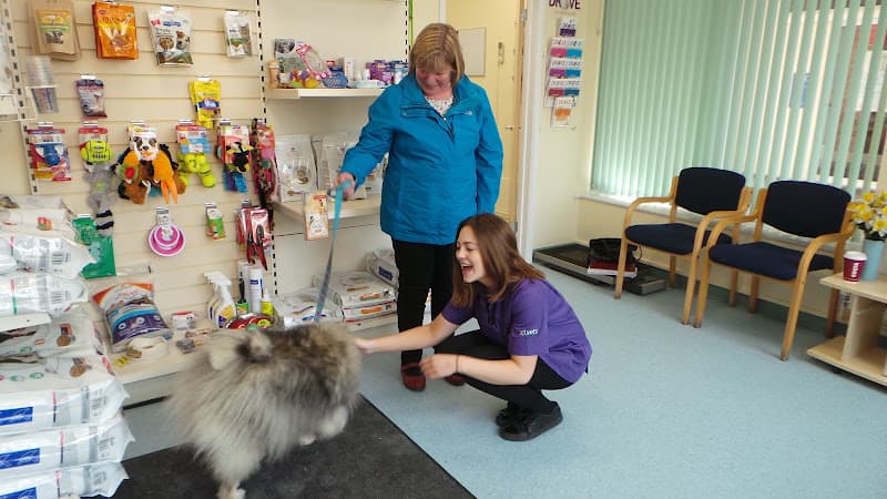 Business listing image