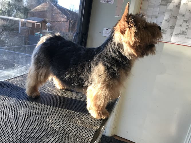 Business listing image