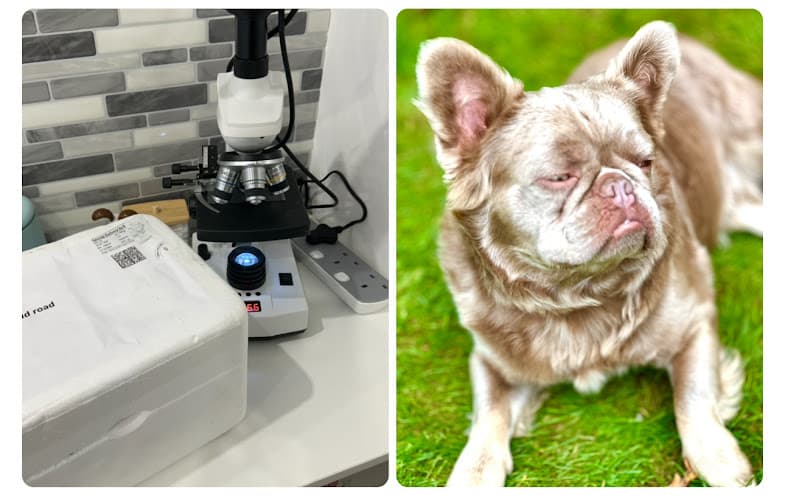 Business listing image