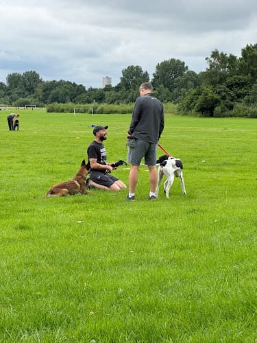 Business listing image