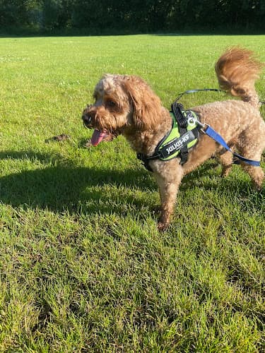 Business listing image